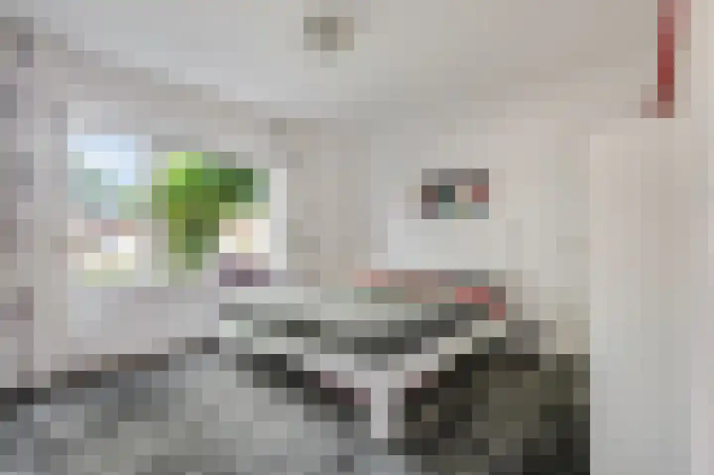 Willem Welgravenlaan 2 Lunteren thumbnail 19