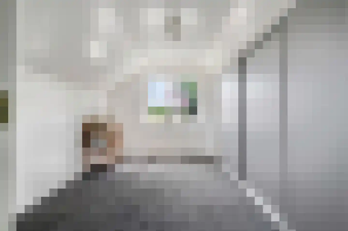 Willem Welgravenlaan 2 Lunteren thumbnail 31