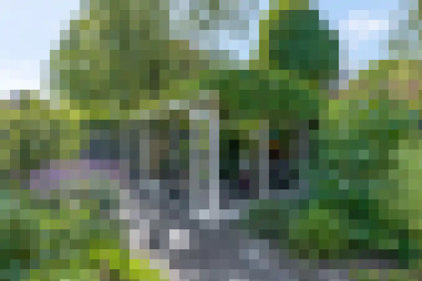 Willem Welgravenlaan 2 Lunteren thumbnail 45