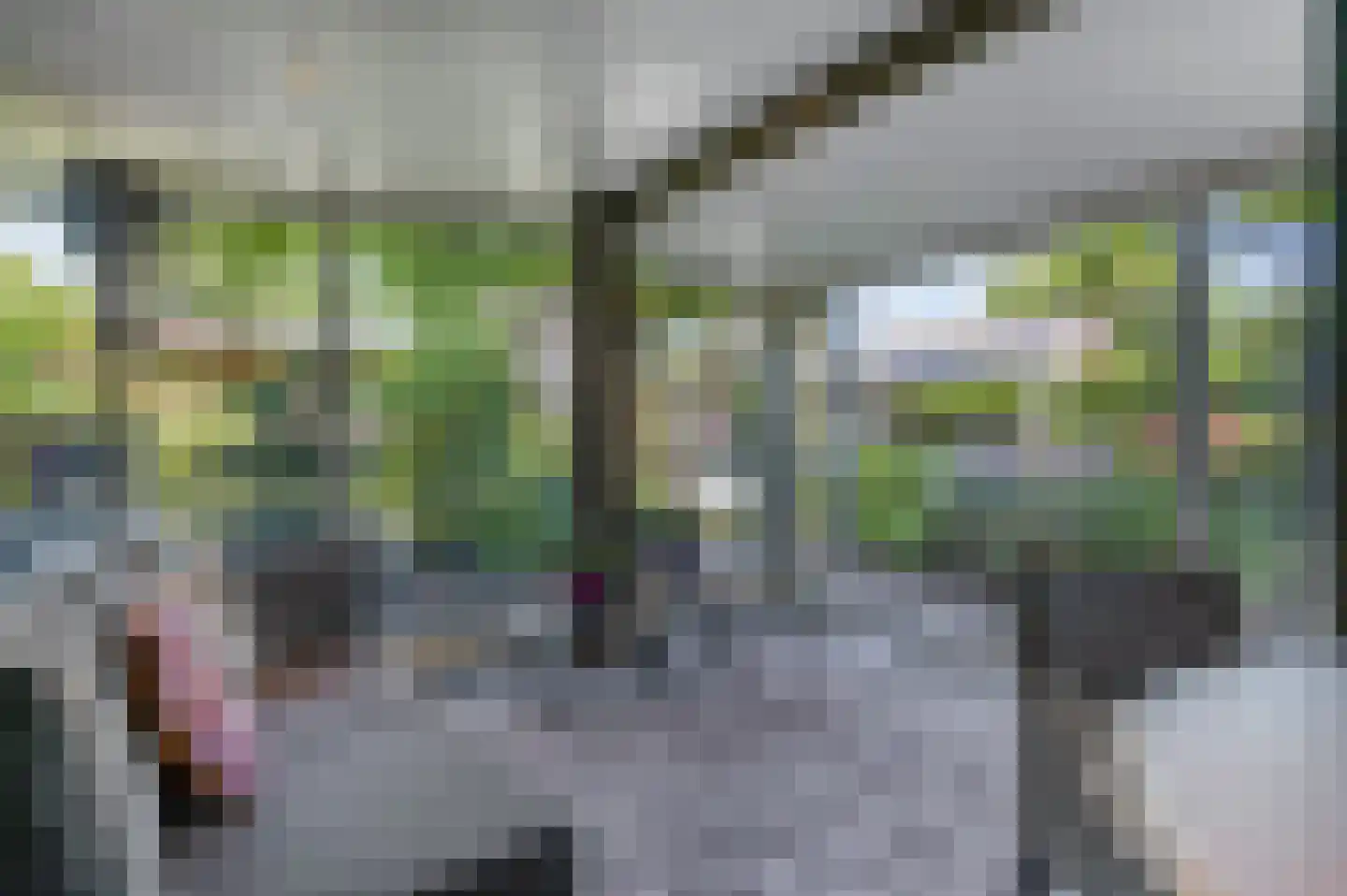 Willem Welgravenlaan 2 Lunteren thumbnail 46