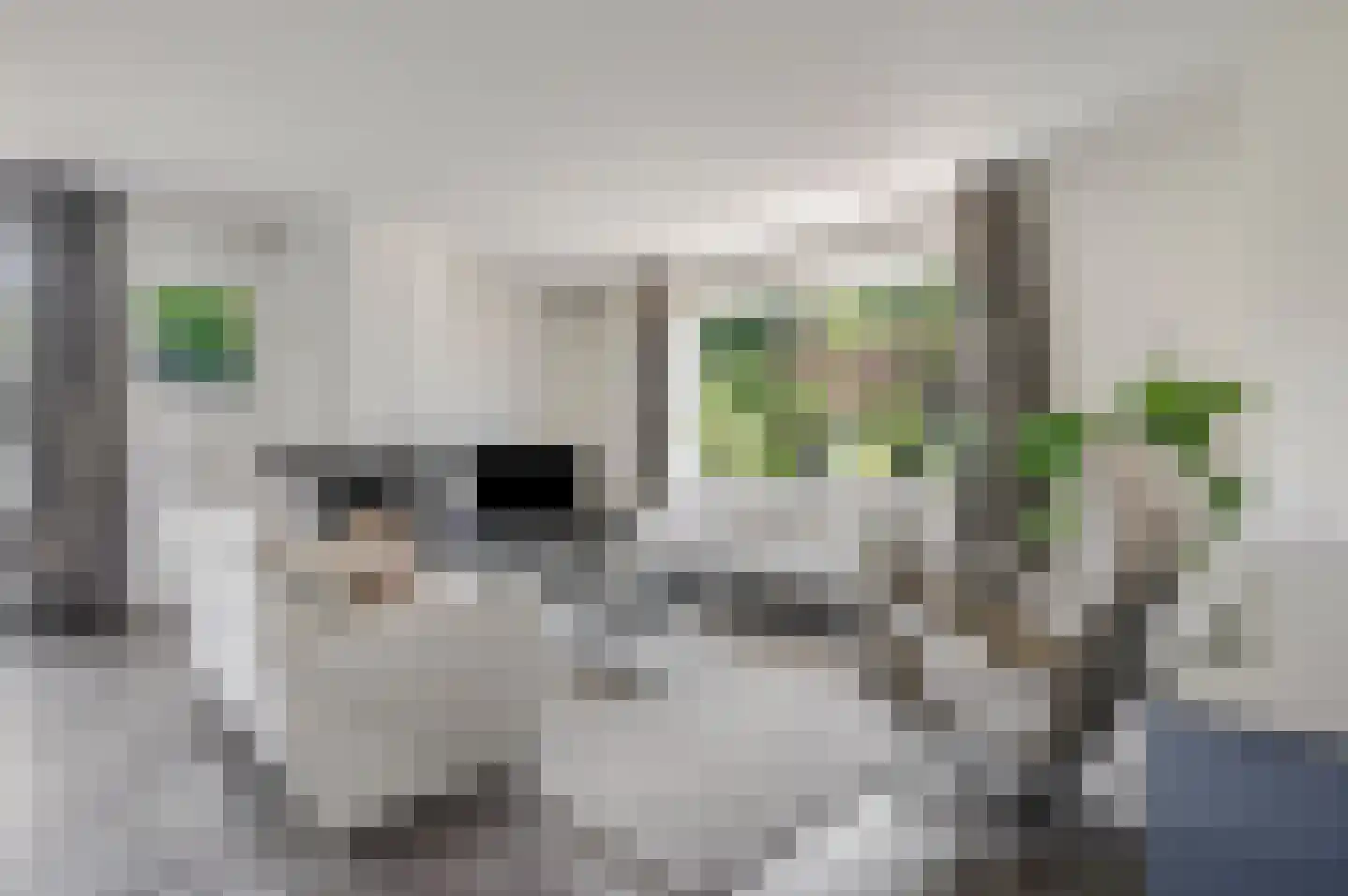 Willem Welgravenlaan 2 Lunteren thumbnail 5
