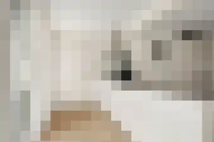 Willem Welgravenlaan 5 Lunteren thumbnail 23