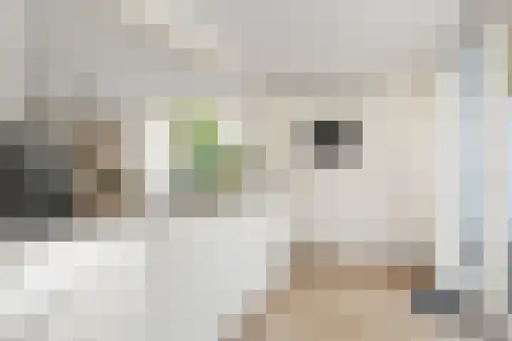 Willem Welgravenlaan 5 Lunteren thumbnail 24