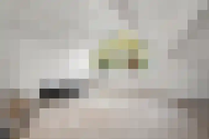 Willem Welgravenlaan 5 Lunteren thumbnail 34