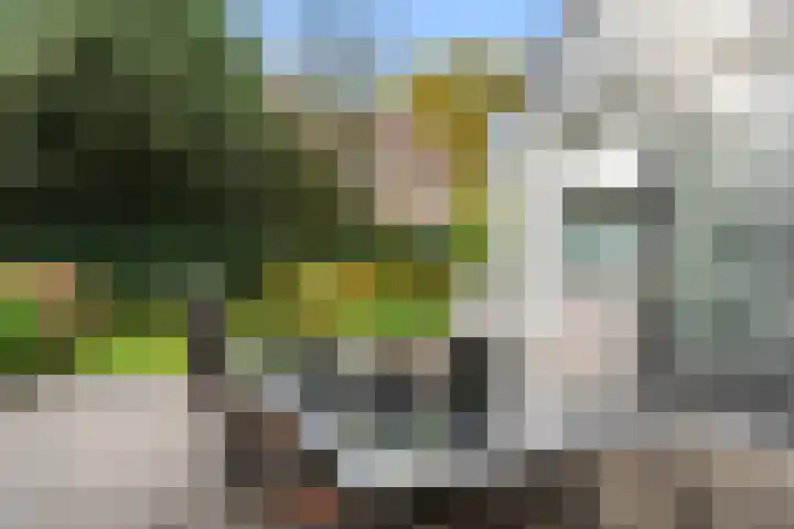 Willem Welgravenlaan 5 Lunteren thumbnail 37
