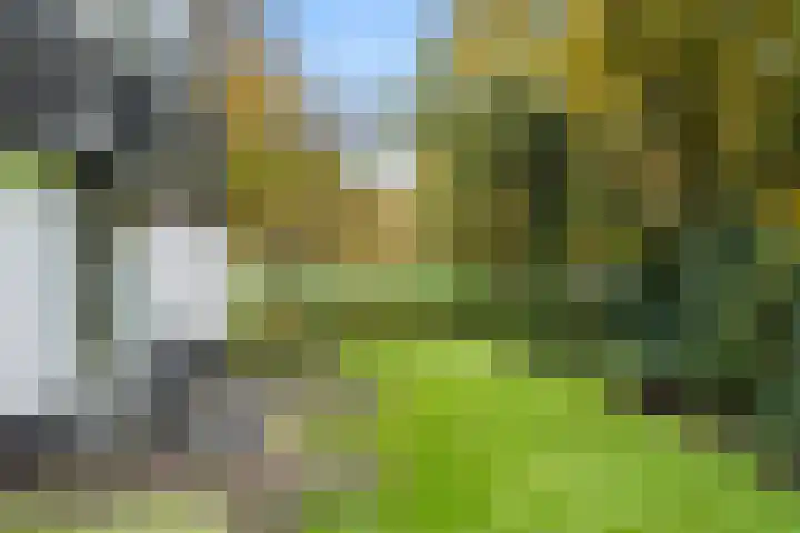 Willem Welgravenlaan 5 Lunteren thumbnail 38