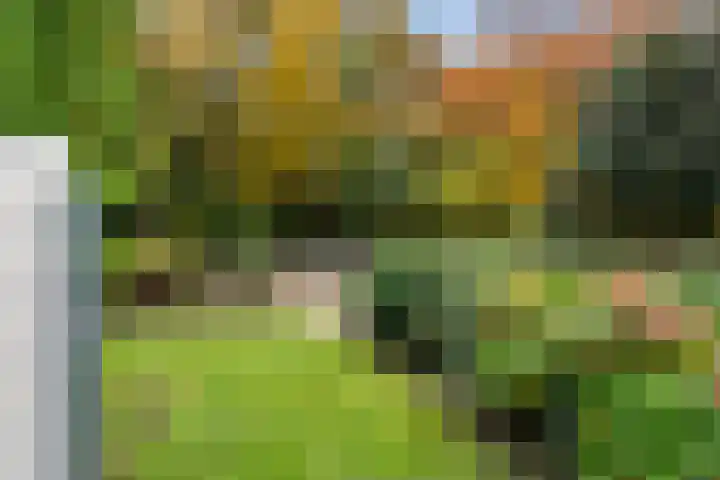 Willem Welgravenlaan 5 Lunteren thumbnail 39