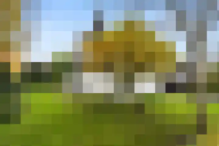 Willem Welgravenlaan 5 Lunteren thumbnail 41