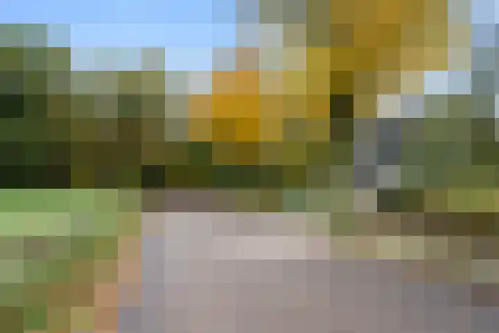Willem Welgravenlaan 5 Lunteren thumbnail 43
