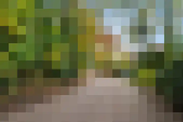 Willem Welgravenlaan 5 Lunteren thumbnail 44