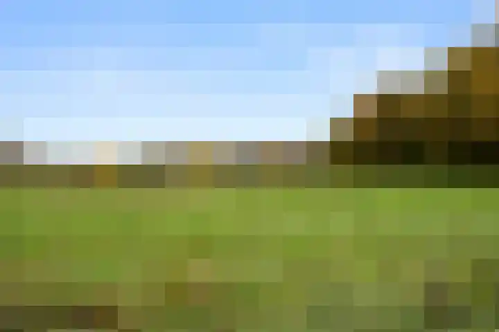 Willem Welgravenlaan 5 Lunteren thumbnail 5
