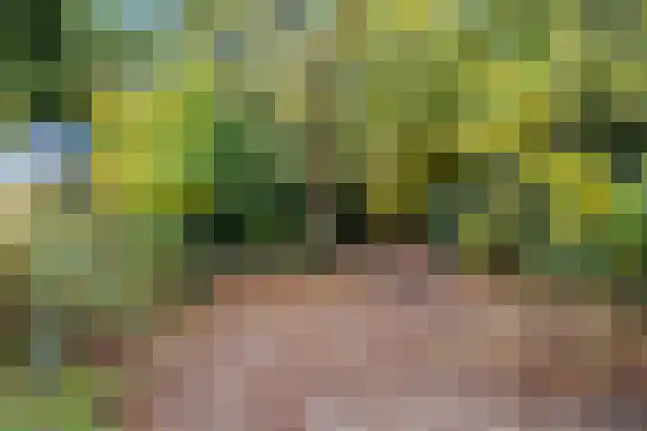 Willem Welgravenlaan 5 Lunteren thumbnail 6