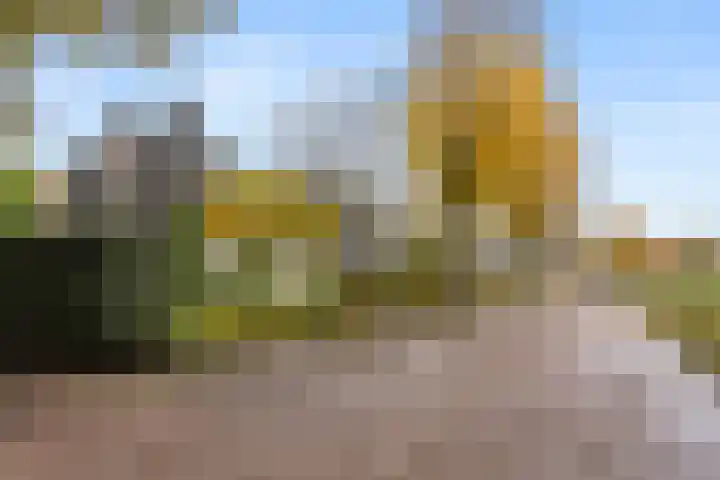 Willem Welgravenlaan 5 Lunteren thumbnail 7