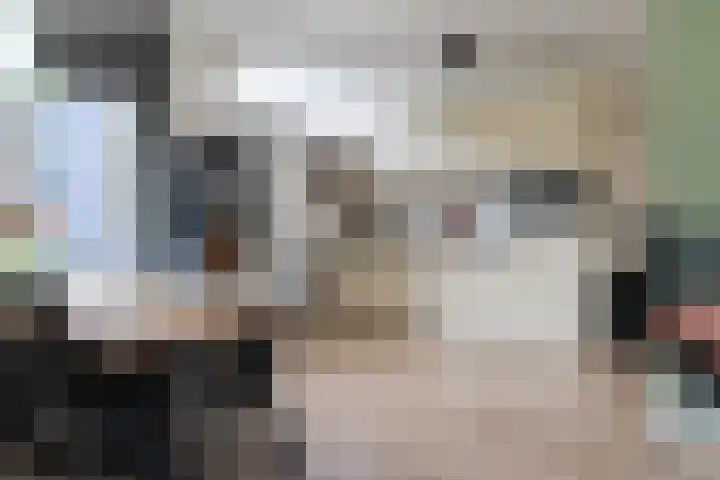 Willem Westrastrjitte 4 Arum thumbnail 10
