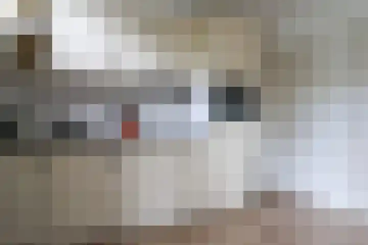Willem Westrastrjitte 4 Arum thumbnail 11