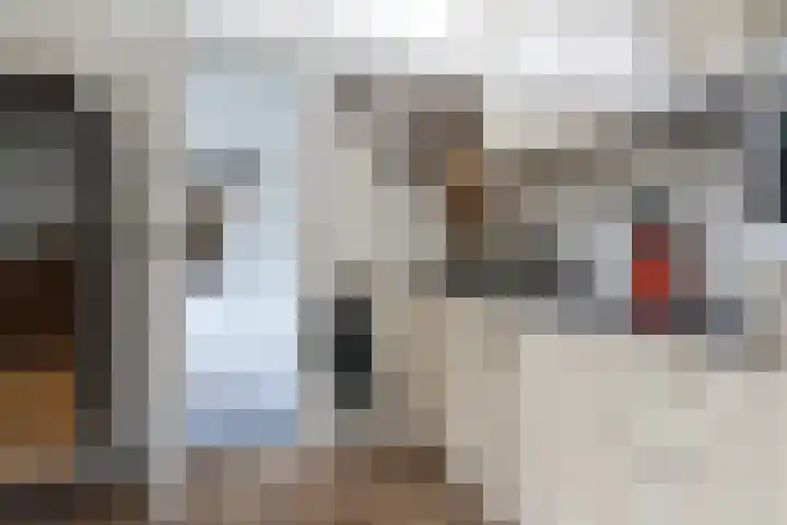 Willem Westrastrjitte 4 Arum thumbnail 12