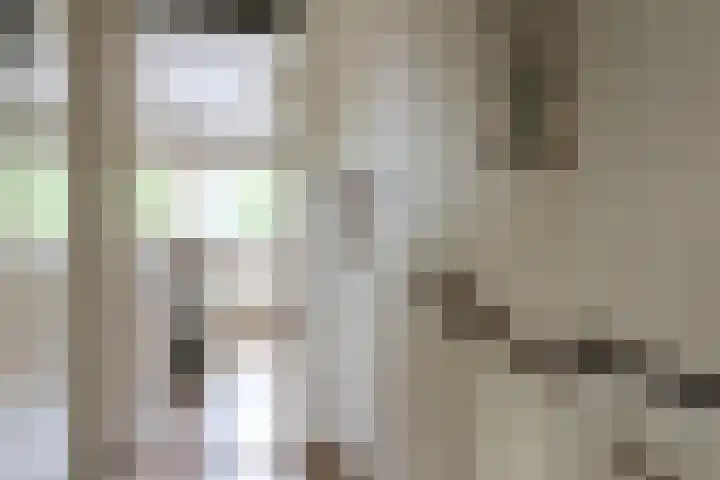 Willem Westrastrjitte 4 Arum thumbnail 14