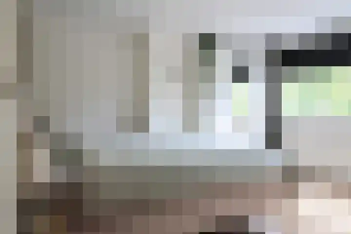 Willem Westrastrjitte 4 Arum thumbnail 15