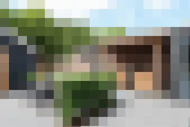 Willem Westrastrjitte 4 Arum thumbnail 22