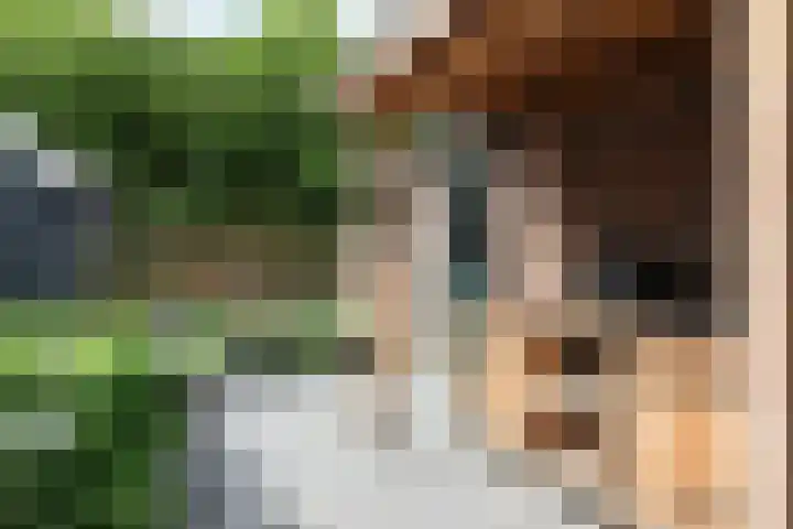 Willem Westrastrjitte 4 Arum thumbnail 24