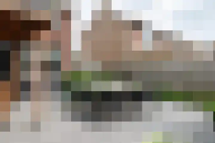 Willem Westrastrjitte 4 Arum thumbnail 29