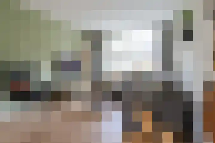Willem Westrastrjitte 4 Arum thumbnail 8