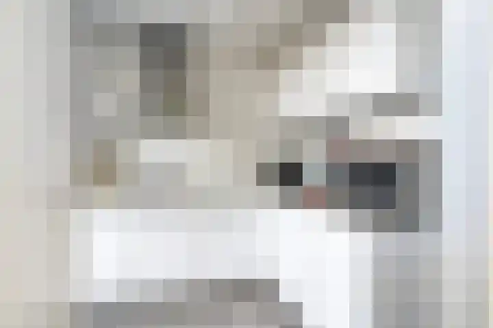 Willem Weysingel 15 Pernis Rotterdam thumbnail 7