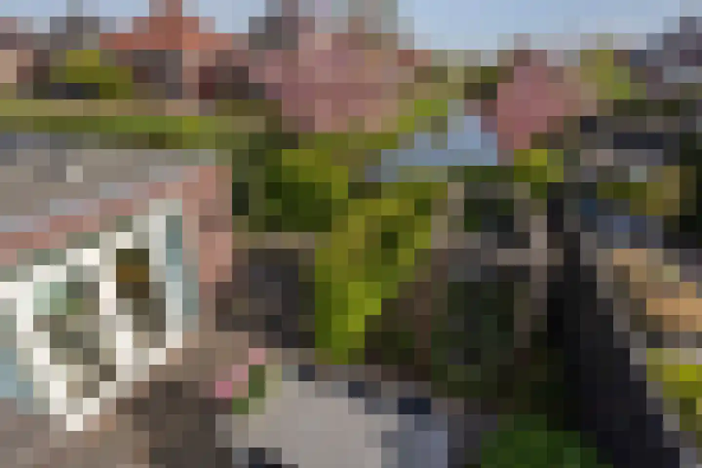 Willem Wilminkstraat 30 Berkel en Rodenrijs thumbnail 43