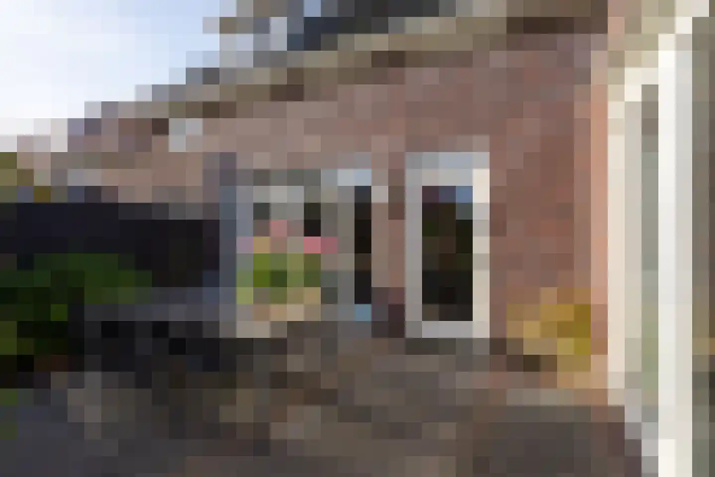 Willem Wilminkstraat 30 Berkel en Rodenrijs thumbnail 52