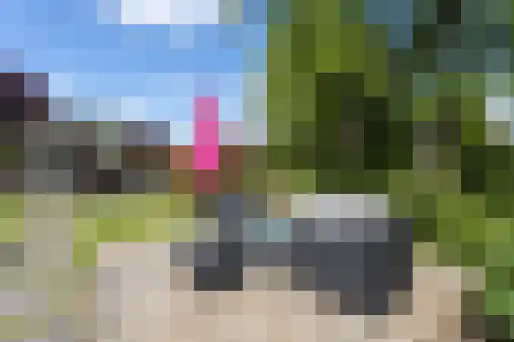 Willem Wilminkstraat 32 Berkel en Rodenrijs thumbnail 69