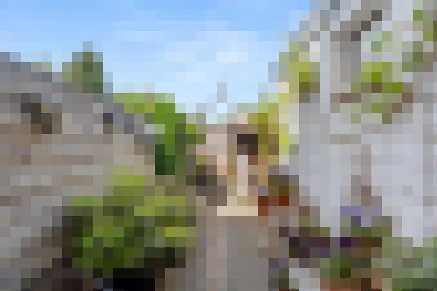 Willem Witsenlaan 8 Ede thumbnail 13