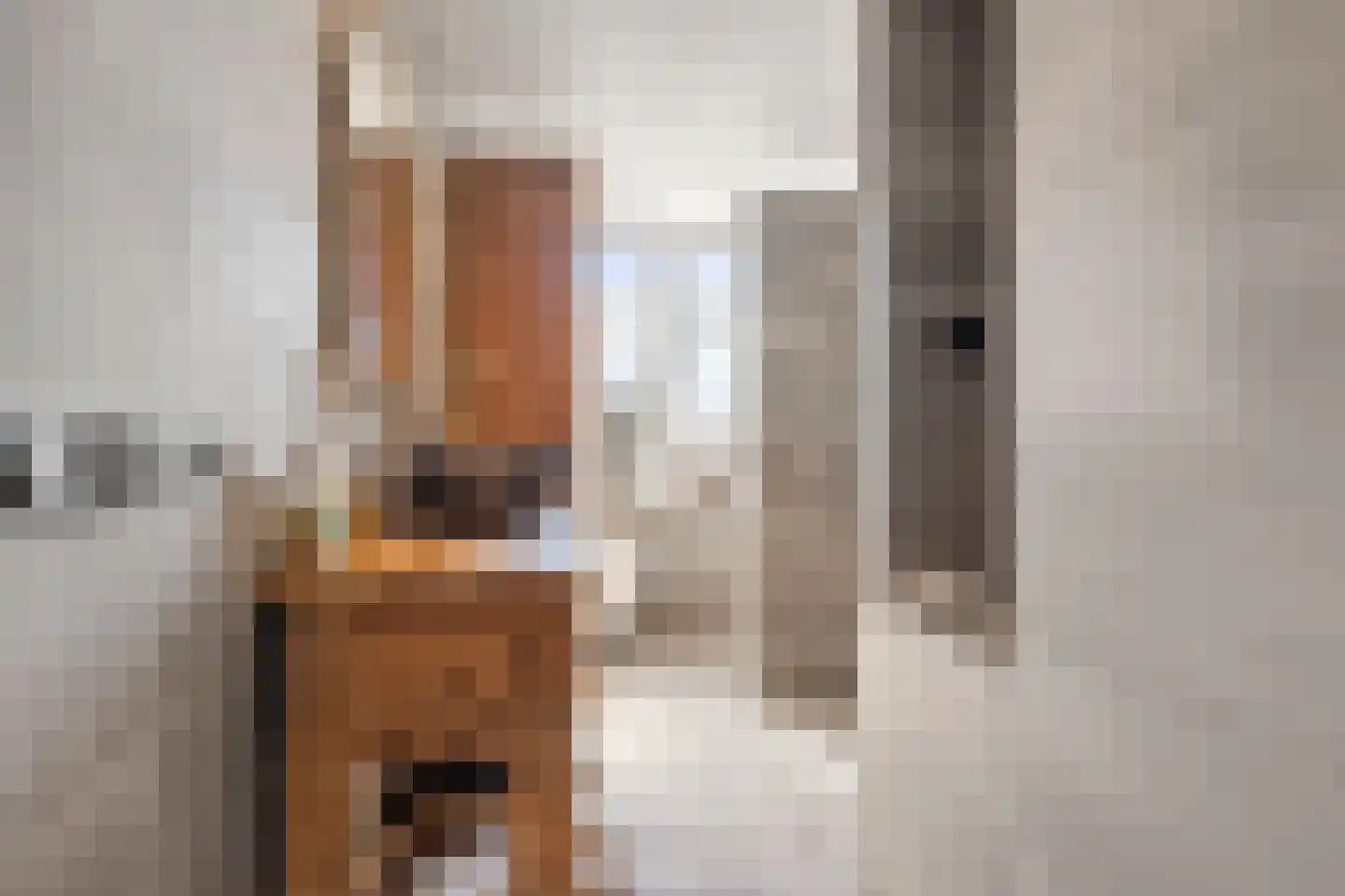 Willem Witsenlaan 8 Ede thumbnail 37