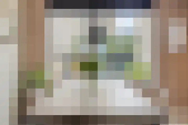 Willem Zelleweg 49 A Goes thumbnail 10