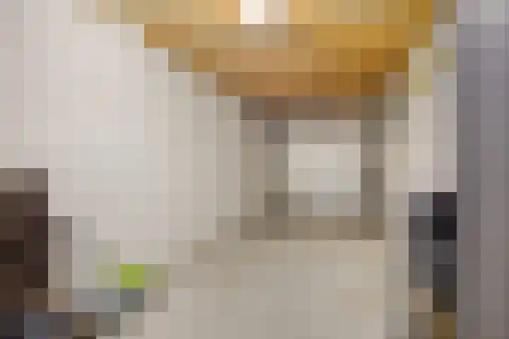 Willem Zelleweg 49 A Goes thumbnail 31