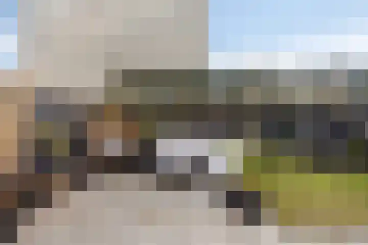 Willem Zelleweg 49 A Goes thumbnail 34