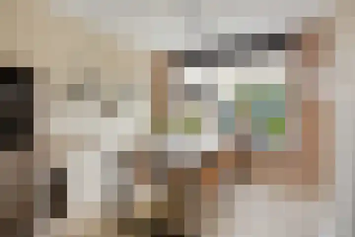 Willem Zelleweg 49 A Goes thumbnail 8