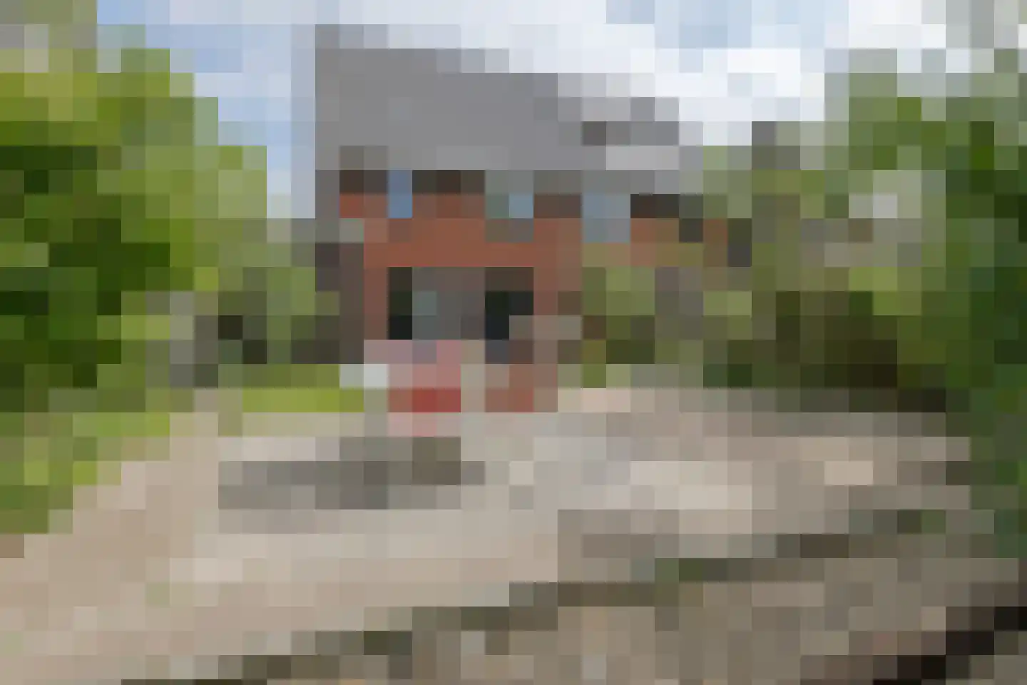 Willemarslaan 14 Barneveld thumbnail 34