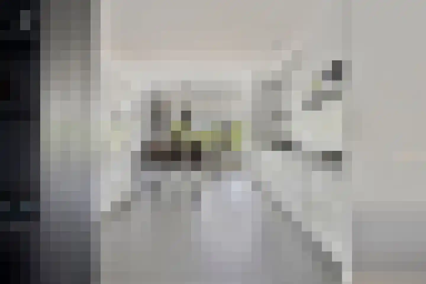 Willemarslaan 20 Barneveld thumbnail 11