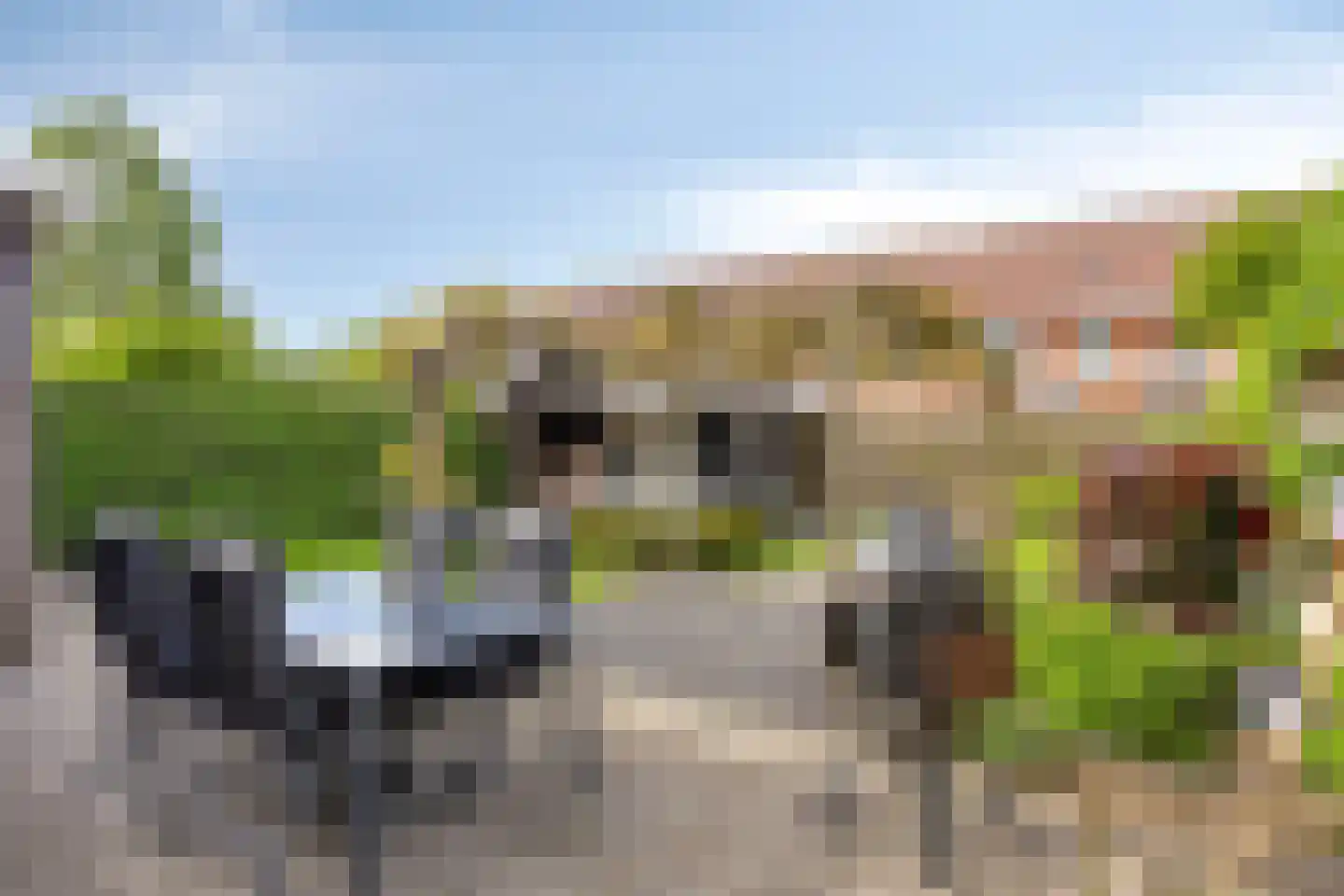 Willemarslaan 20 Barneveld thumbnail 30