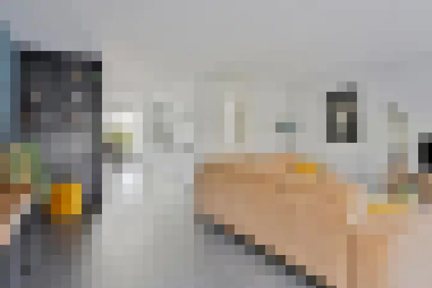 Willemarslaan 20 Barneveld thumbnail 6