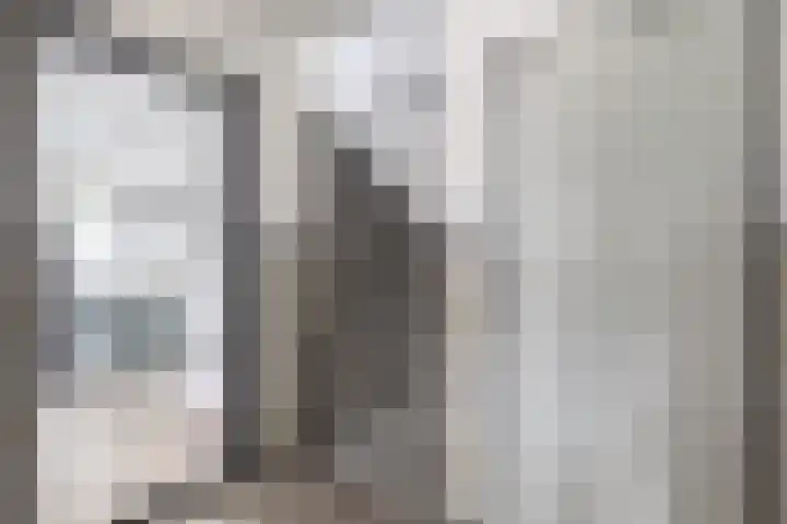 Willemijn Posthumusstraat 11 Spijkenisse thumbnail 14