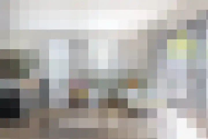 Willemijn Posthumusstraat 11 Spijkenisse thumbnail 19