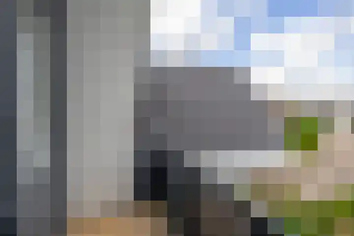 Willemijn Posthumusstraat 11 Spijkenisse thumbnail 42