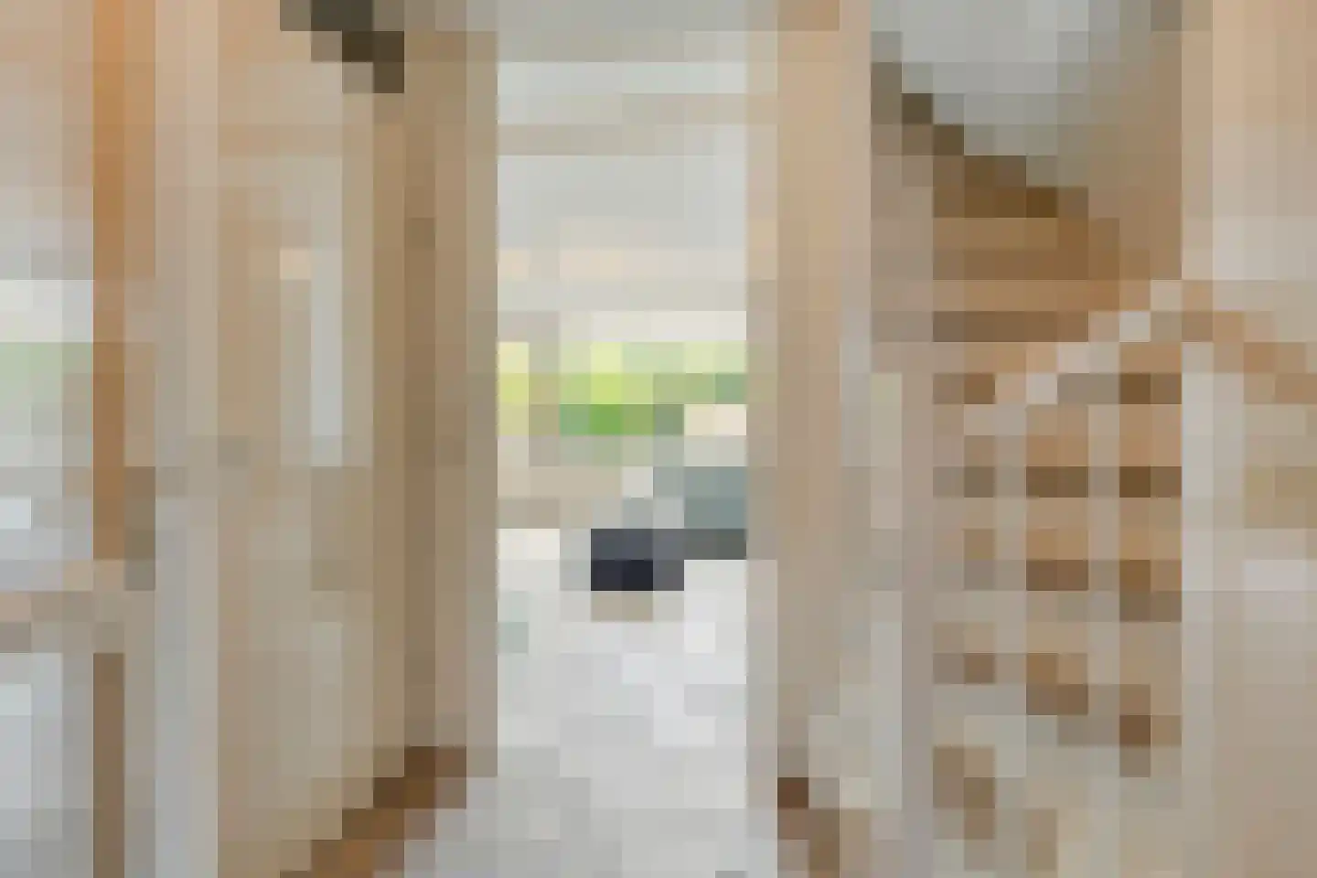 Willemijn Posthumustuin 11 Heerhugowaard thumbnail 12