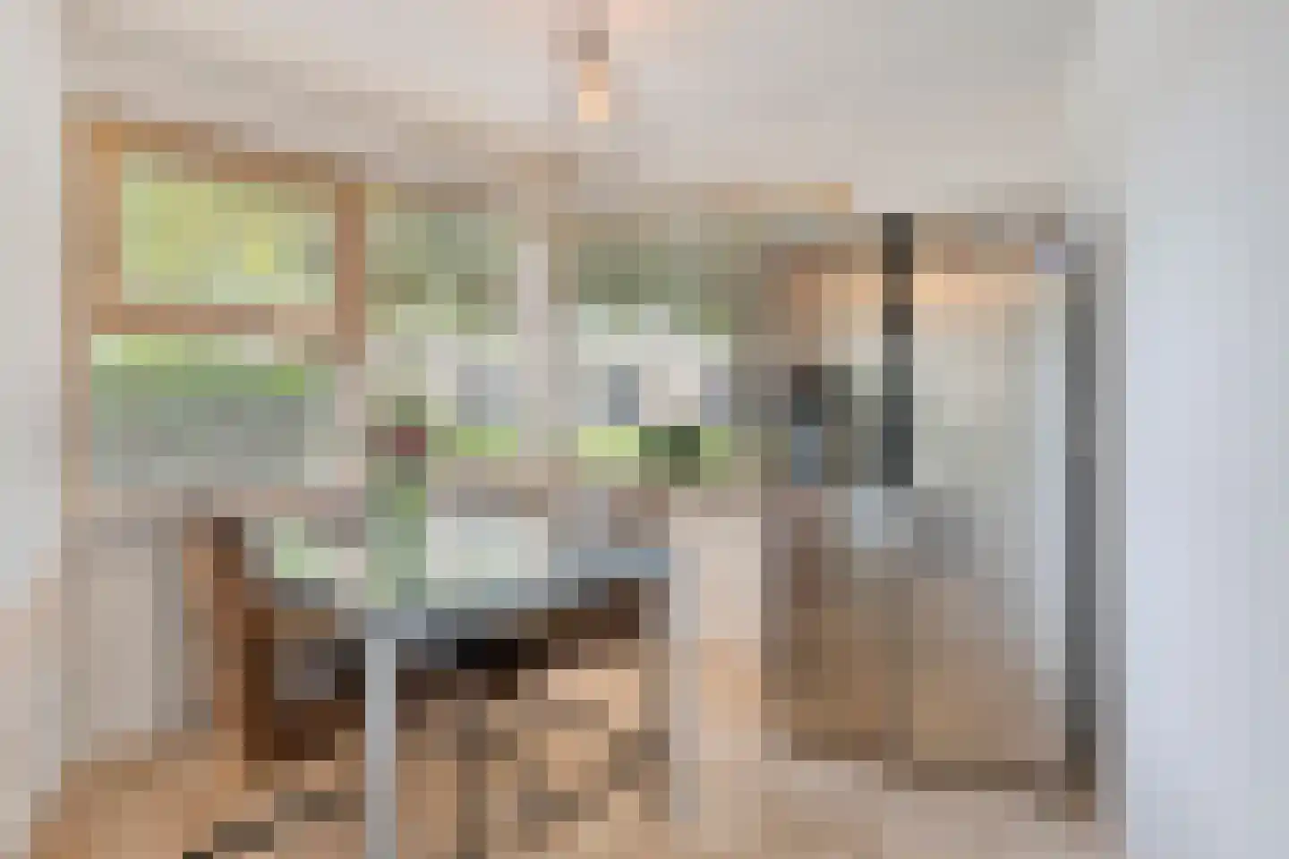 Willemijn Posthumustuin 11 Heerhugowaard thumbnail 19