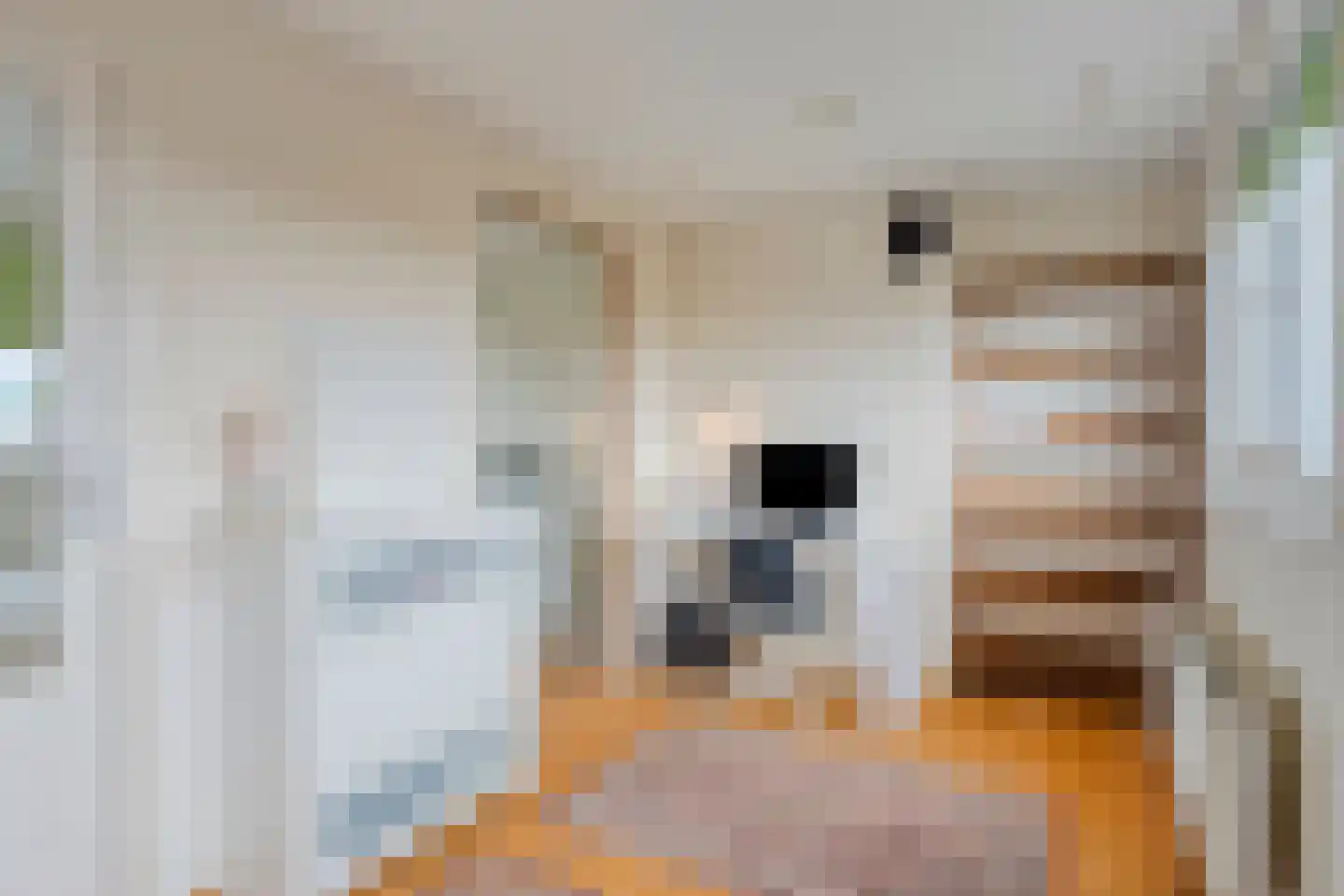 Willemijn Posthumustuin 11 Heerhugowaard thumbnail 32