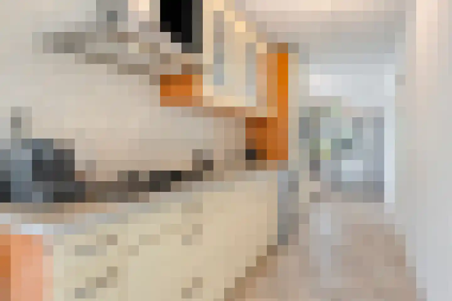Willemijn Posthumustuin 11 Heerhugowaard thumbnail 4