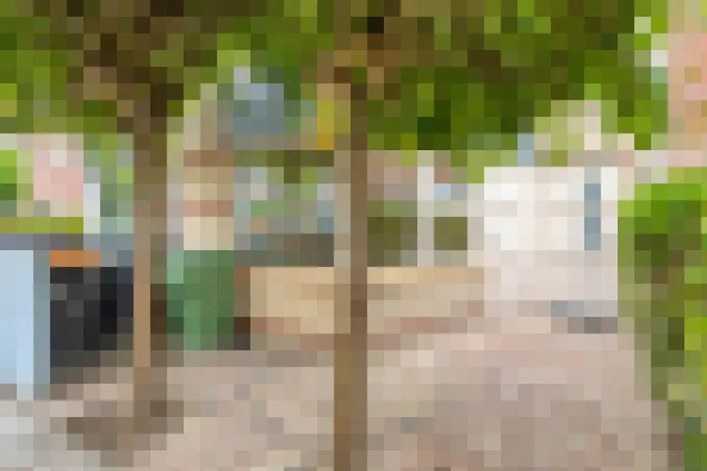 Willemijn Posthumustuin 11 Heerhugowaard thumbnail 8