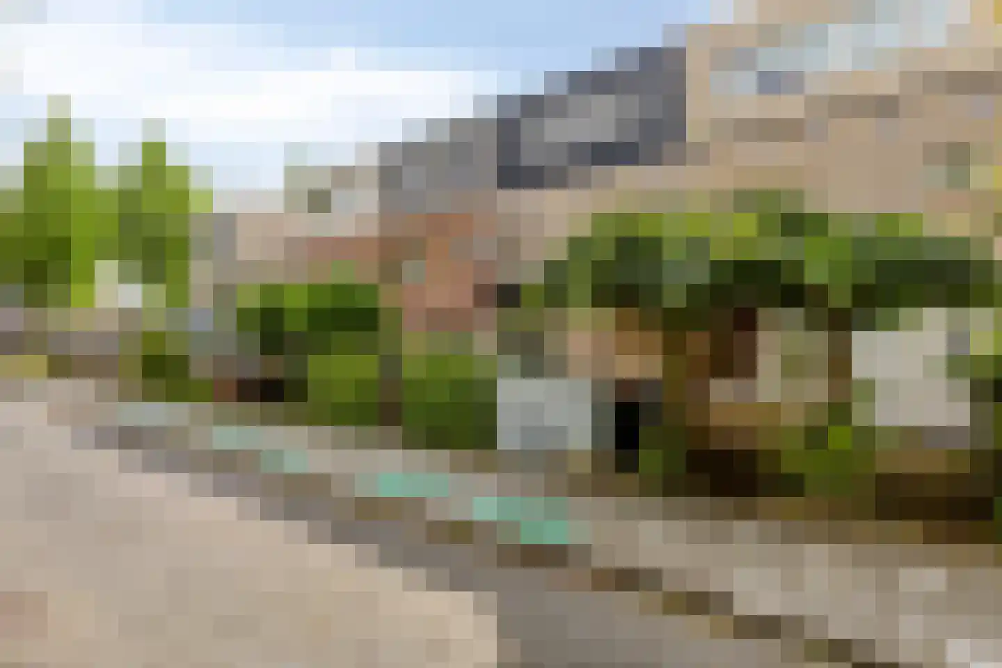 Willemijn Posthumustuin 9 Heerhugowaard thumbnail 10