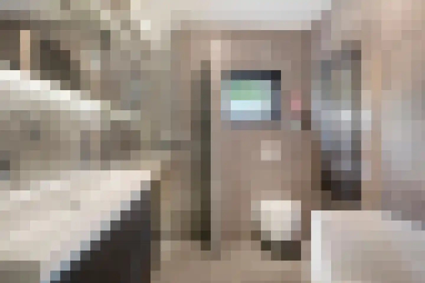 Willemijn Posthumustuin 9 Heerhugowaard thumbnail 36